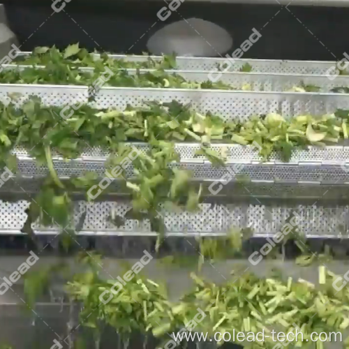 French Fries Blanching Machine to make potato chips